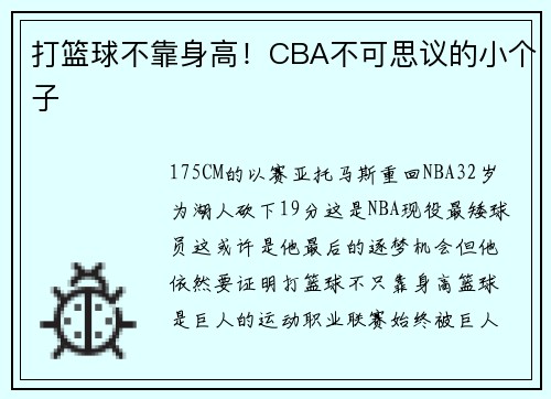 打篮球不靠身高!CBA不可思议的小个子